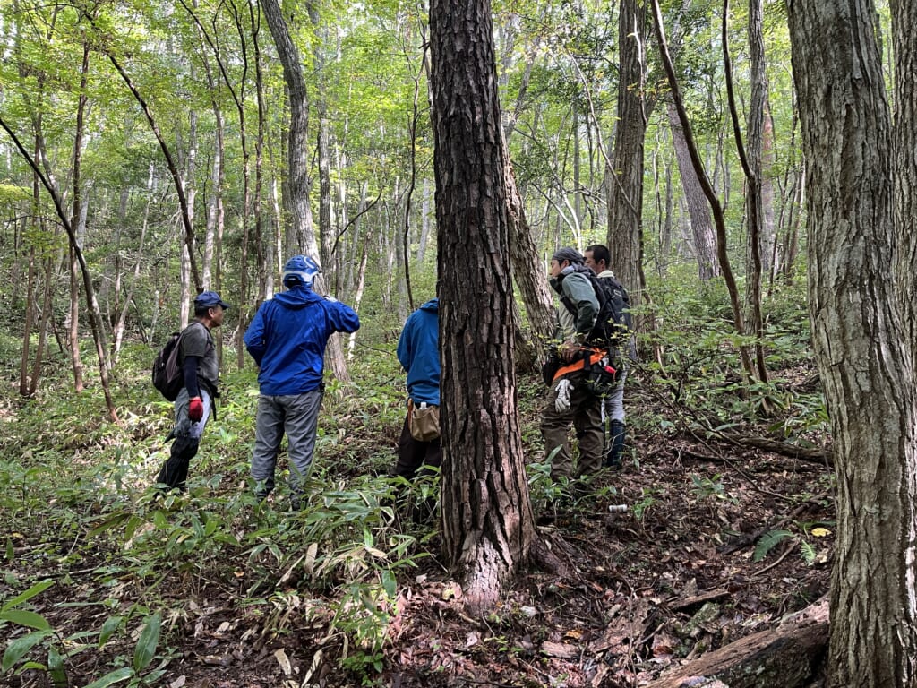 森林内で地形を確認しながら、作業道の候補ルートを歩く参加者